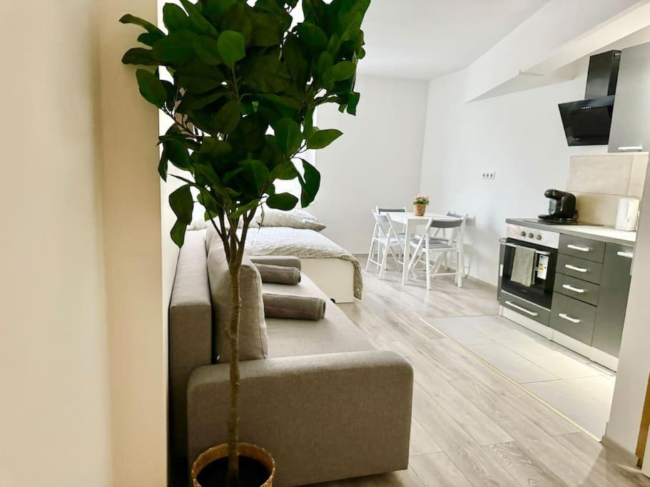 Stylish Schonbrunn Apartments With Free Parking Vienna Exterior photo